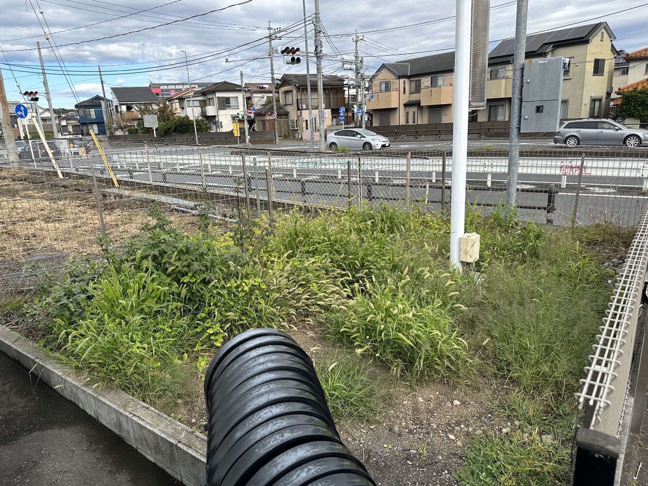 画像1419